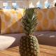 La Casananas, Calpe (fotografie 9)