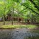 A Creek Runs Thru It - Secluded Waterfront Cabin, Cherry Log - Photo 6