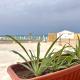 Perfetta per famiglie - Villa Fronte Mare Marsala, Marsala (foto 10)