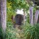 Tiny Wellnesslodge Wulp met sauna, Dalerveen (photo 3)
