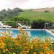 Quinta Santo António, Pereiro da Palhacana