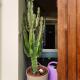Thisseion Lofts George, Athen - Foto 10