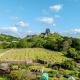 Castle View House, Corfe Castle (fotografie 4)