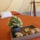 RUSTICO LOUNGE-Tipi With AC in front of the beach, San José del Cabo - Photo 6