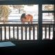 Cabin with Wild Horses, Fireplace, Dog Friendly & StarLink Overgaard - Foto 1