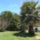 El Algarrobo, Algarrobo (photo 8)