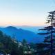 The Boho near Mall, Shimla - Foto 3