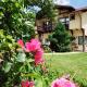 Casa cu Flori, Buşteni - Photo 2