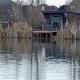 the reedy cabin, Bexley (fotografie 8)