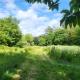 Bumbeldink, Uny Lelant (photo 6)