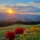 Main Comfortable holiday residence, Bihlerdorf - Foto 10