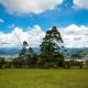 Country house, Cozy Fireplace and an amazing view, Cartago (Foto 7)