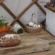 The Yurt at Worcesters Farm, Canterbury - Fotografie 8