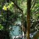 TheJungleGuide - Lodges & Treks, Bukit Lawang (foto 4)