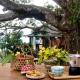 Mango House - Seaview - Homestay., Lai Sơn (foto 3)