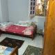 إسكندرية العجمى, アレクサンドリア - 写真 2