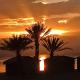 Antika beach camp, Nuweiba - Fotografie 6