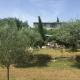 Le MAS du Sud, Draguignan (zdjęcie 6)
