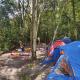 Camping na Floresta