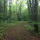 Wilderness Lodge - perfect family reunion, Wattsburg (fotografie 3)