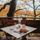 Ekia Basoa Suites, Lizaso (Foto 4)