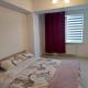 Testemitianu Apartment, Chişinău (foto 2)