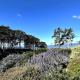 Condo in Seascape Beach Resort Aptos - Fotografie 1