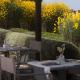 Casale Sterpeti, Magliano in Toscana (photo 6)