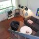 Gorgeous Apartment In Allinge With Wifi, Allinge - Foto 4