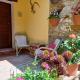 Casa Galla, Ovada (Foto 4)