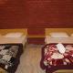The Jungle Glory Resort, Jhirna - 写真 3