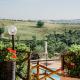 La casa di Sofia, Poggio Aquilone (foto 8)