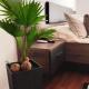 CLASSY 2-Dormitoare, Baia Mare - Foto 1