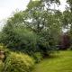 Passford House Hotel, Lymington - Foto 2