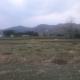 Wildlife Nature Stayz by Eiyuu Hotels!, Jhirna - 写真 9