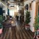 Green Valley Homestay - Boutique stay in Sumur, Nubra Valley, Nubra - Foto 5