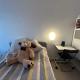 The Olympic stay in host Female guests only, Paris - Foto 8