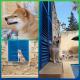 MJ Farmhouse B&B, Xagħra (zdjęcie 8)
