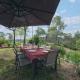 Villa 13 personnes - 1 hectare de parc naturel - piscine, Saint-Clément-de-Rivière (zdjęcie 2)