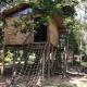 Fazenda Dos Coqueiros-Bananal-SP, バナナウ - 写真 6