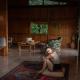 Teopan Treehouse, Montebello (photo 6)