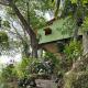 Teopan Treehouse, Montebello (photo 9)