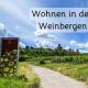Wohnung in Wachenheim, 韦因斯特拉塞地区瓦亨海姆 - 照片 1