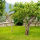 Anna nel verde, Albosaggia (photo 5)