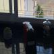 Hercules Apartment, Tanger - Foto 6