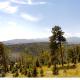Bobcat Peak - Luxury Mountain Home - Hot Tub - Secluded - WiFi - Washer - Dryer - Amazing Views, Red River (foto 8)