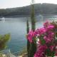 Villa Rosada, Vela Luka (Foto 8)