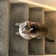 Shared House - Private Room with Dedicated Guest Bathroom near Paddington, London - Foto 4