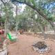 Pet-Friendly Wimberley Cabin with Fire Pit and Hot Tub - Foto 3