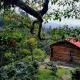 Cabaña cafetera con hermosa vista Colombia - Fotografie 1